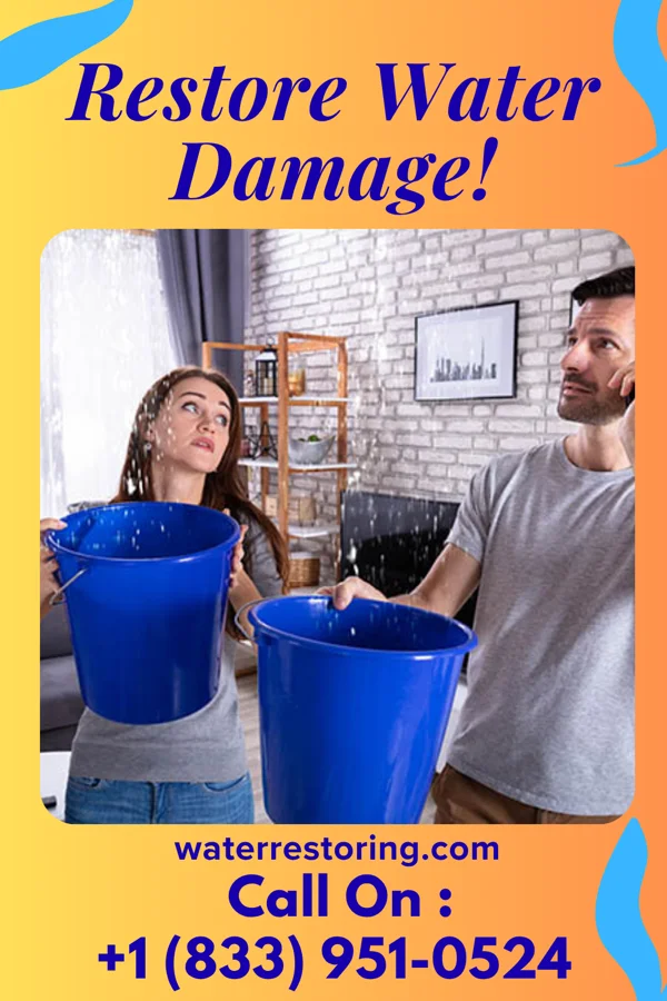 water restoration Prestige Water Damage Company Anton