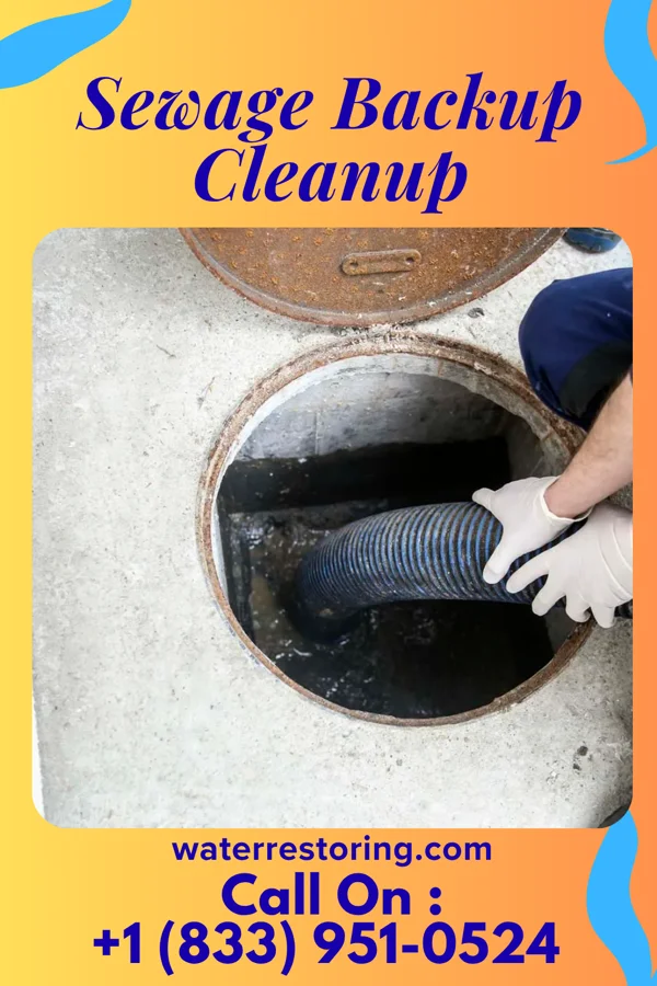 Sewage Backup Cleanup in Anton, TX