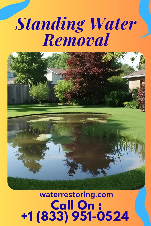 Standing Water Removal in Anton, TX